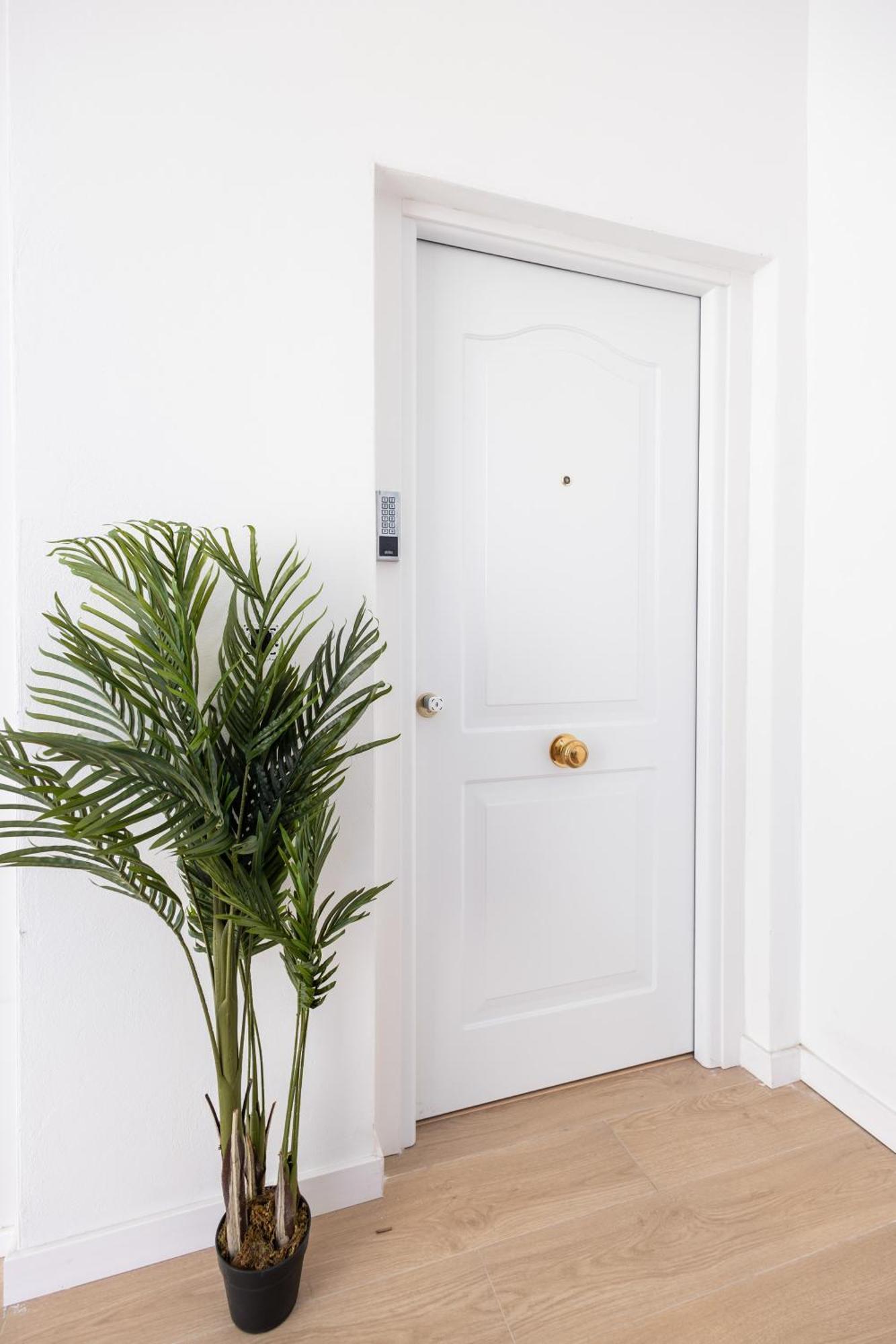 Gasthuis Imprenta By Concept Flats